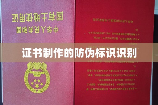 金普新区证书制作的防伪标识识别